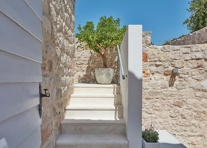 Orange Tree House * Vis