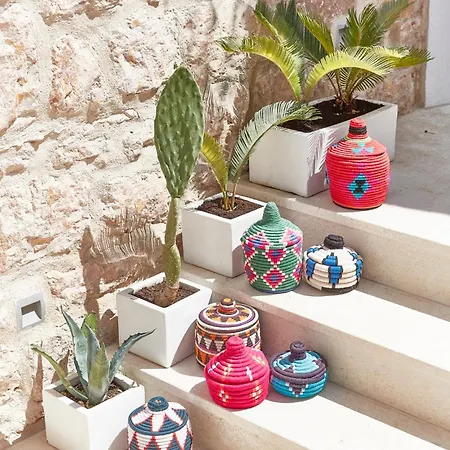 Orange Tree House Villa